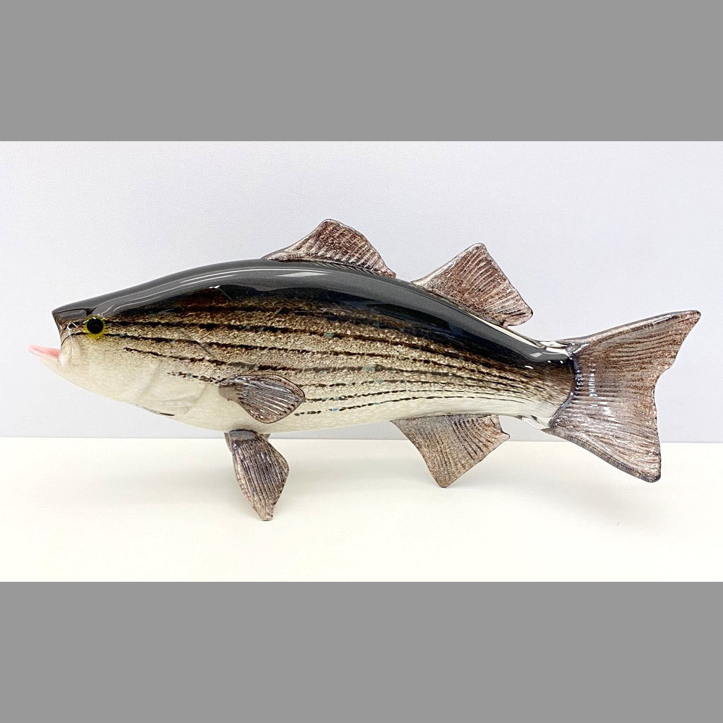 Large Mouth Bass Striped Bass
